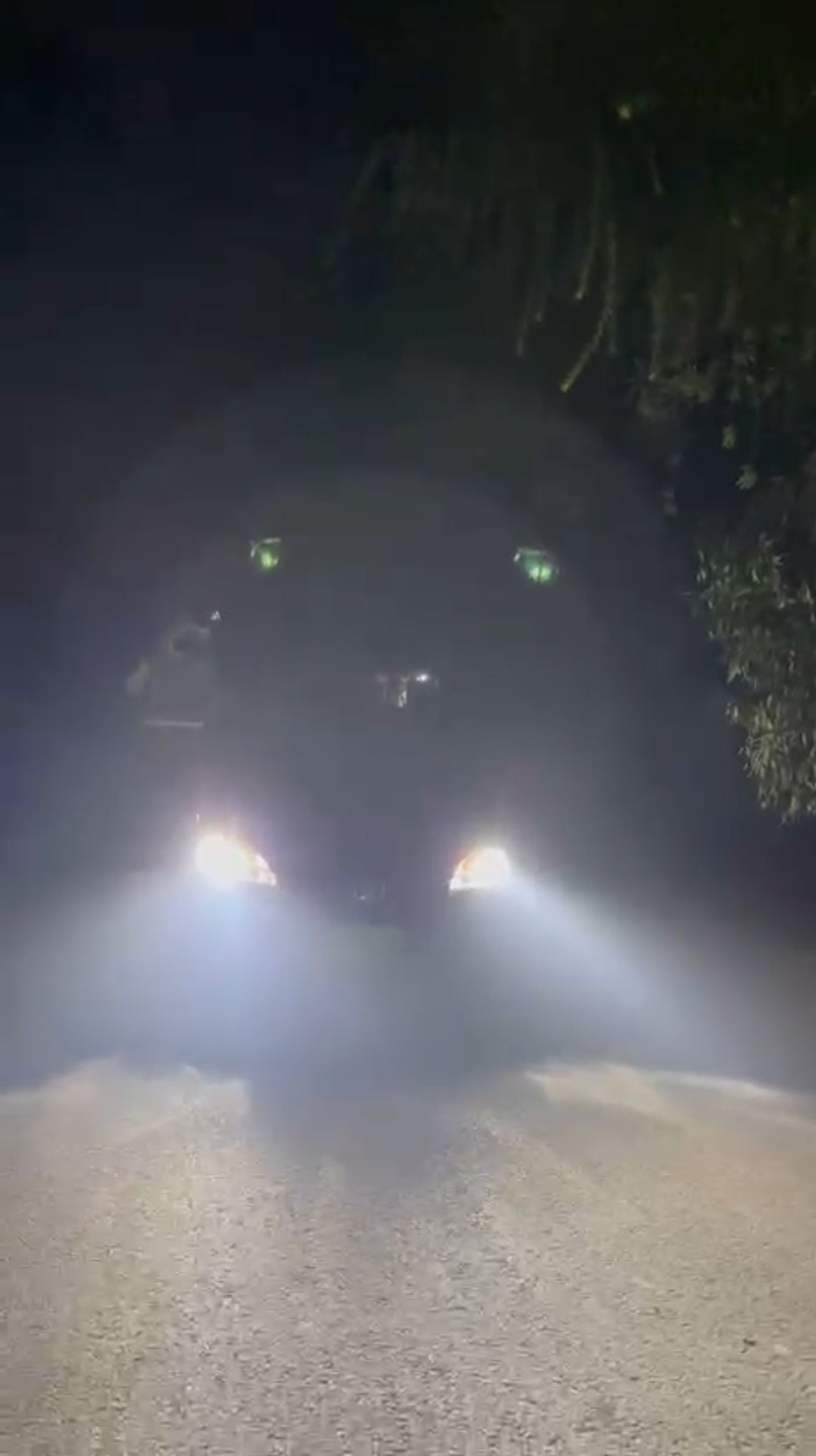 T10 Plus G-700 SuperBright LED Headlights – 3000W High Power | Ultra Bright H4 Car Light